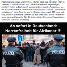 Angelika Eibl (AfD) über Afrikaner